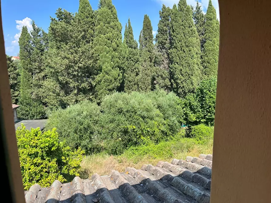 Immagine 6 di Rustico / casale in vendita  a Montopoli In Val D'arno