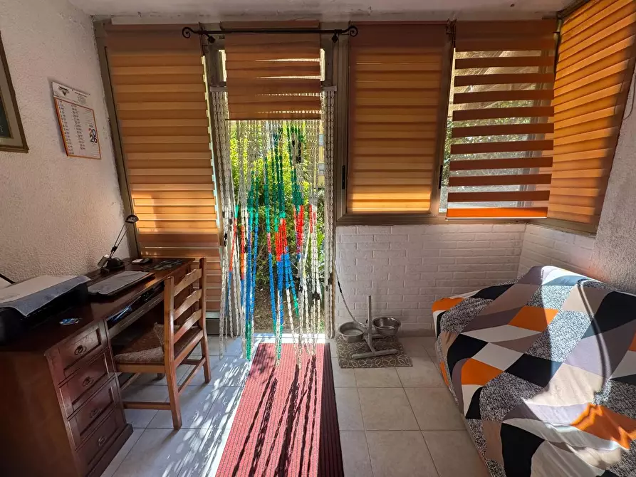 Immagine 3 di Appartamento in vendita  a Collesalvetti