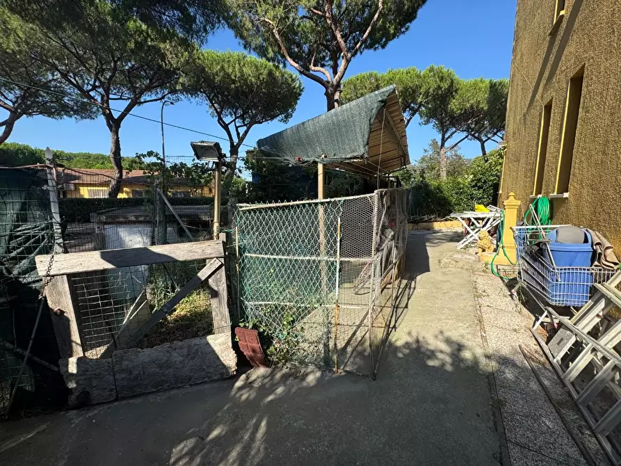 Immagine 17 di Appartamento in vendita  a Collesalvetti