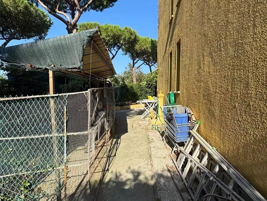Immagine 20 di Appartamento in vendita  a Collesalvetti