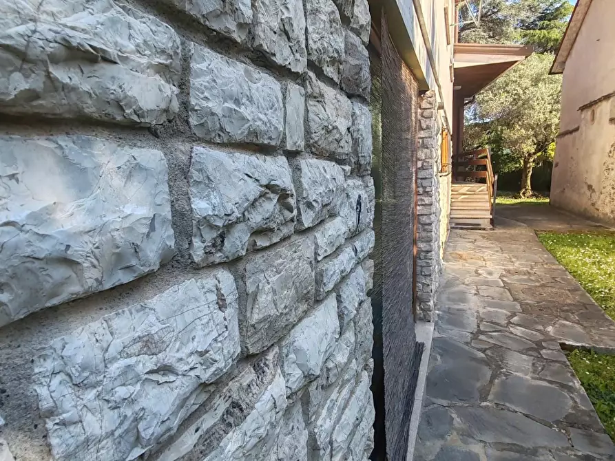 Immagine 27 di Villa in vendita  a Massa