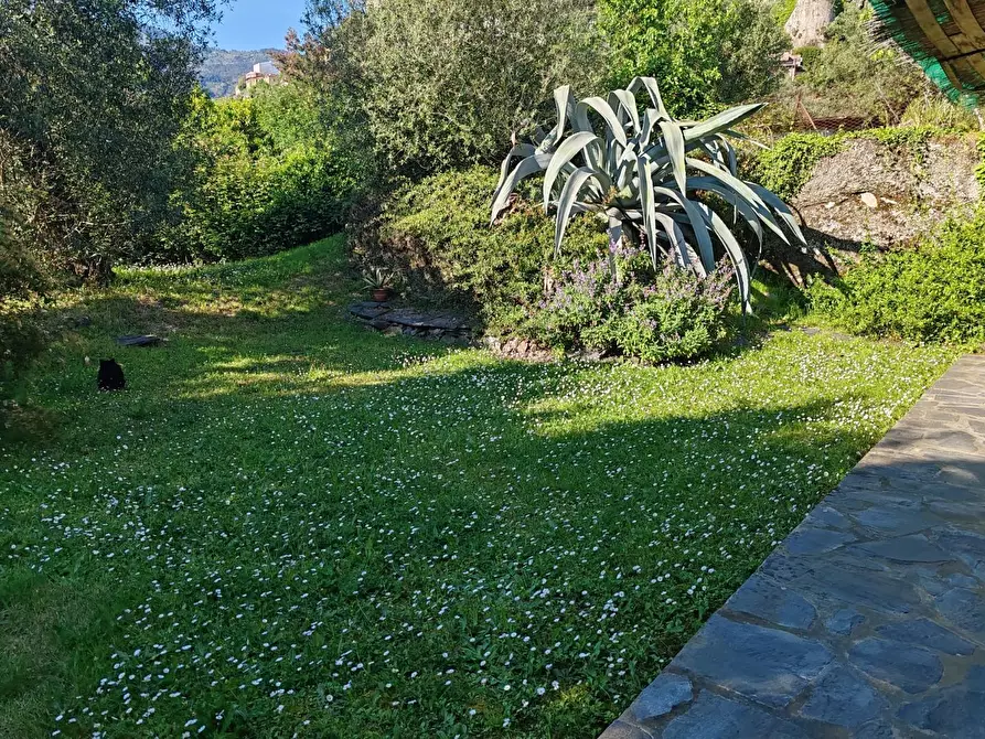 Immagine 37 di Villa in vendita  a Massa