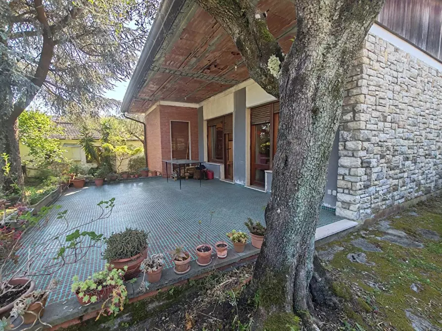 Immagine 34 di Villa in vendita  a Massa