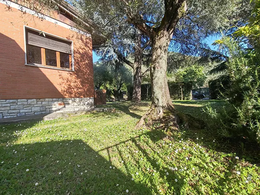 Immagine 26 di Villa in vendita  a Massa
