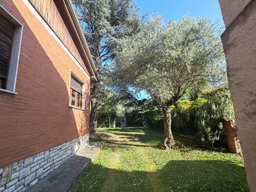 Immagine 31 di Villa in vendita  a Massa