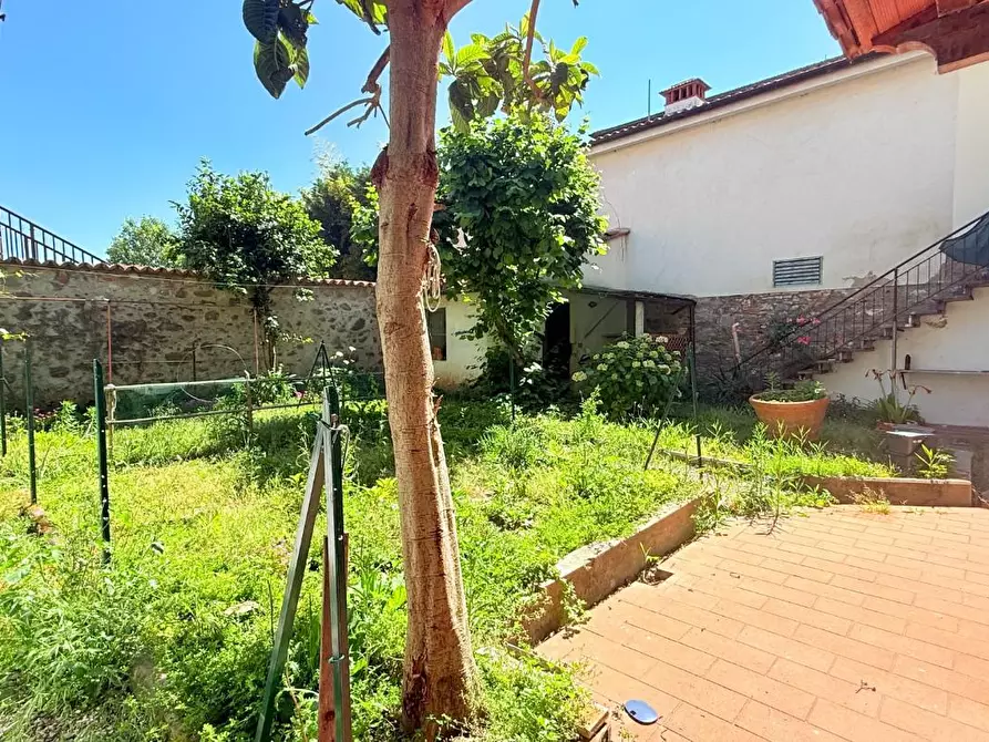 Immagine 5 di Terratetto in vendita  a Ponte Buggianese