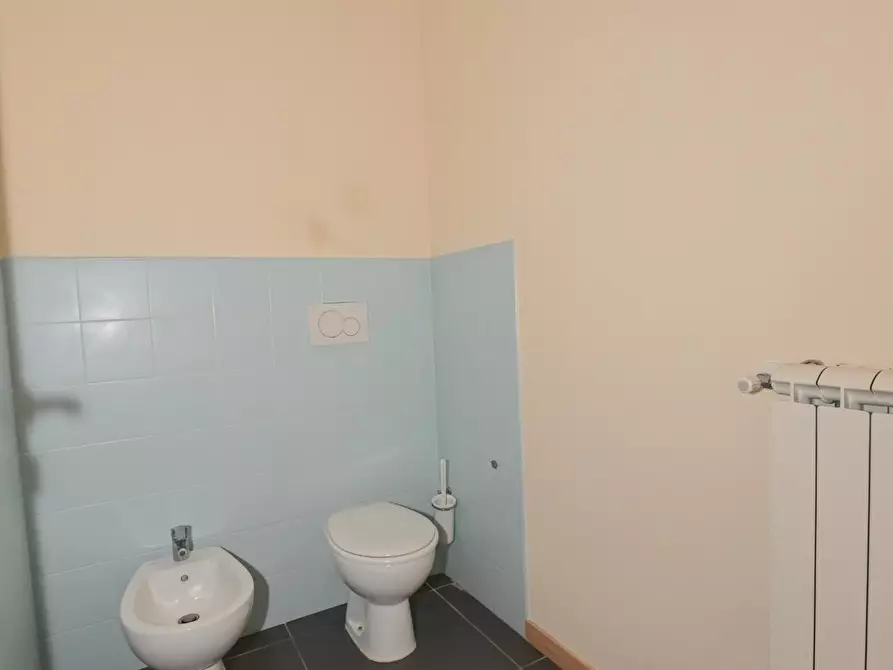 Immagine 73 di Locale commerciale in vendita  a Pisa