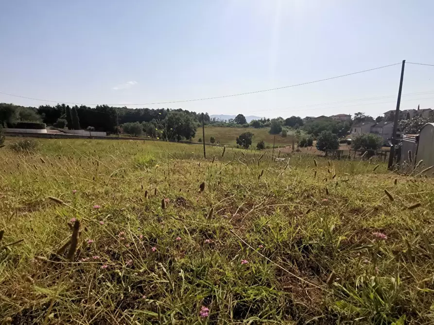 Immagine 2 di Terreno residenziale in vendita  a Cerreto Guidi