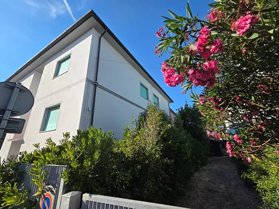 Immagine 2 di Appartamento in vendita  a Cecina