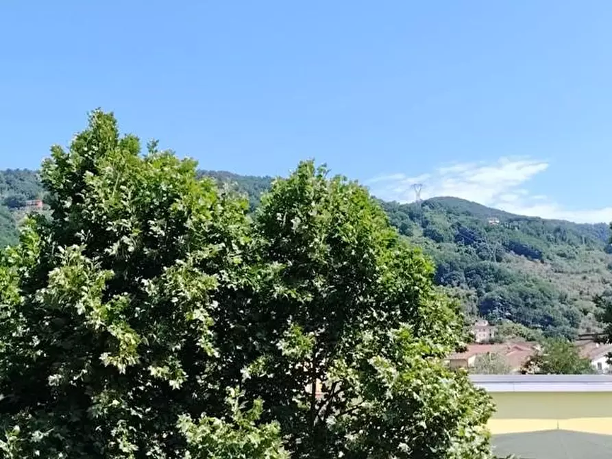 Immagine 28 di Appartamento in vendita  a Aulla