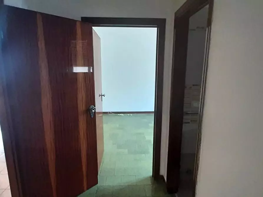 Immagine 24 di Appartamento in vendita  a Rosignano Marittimo