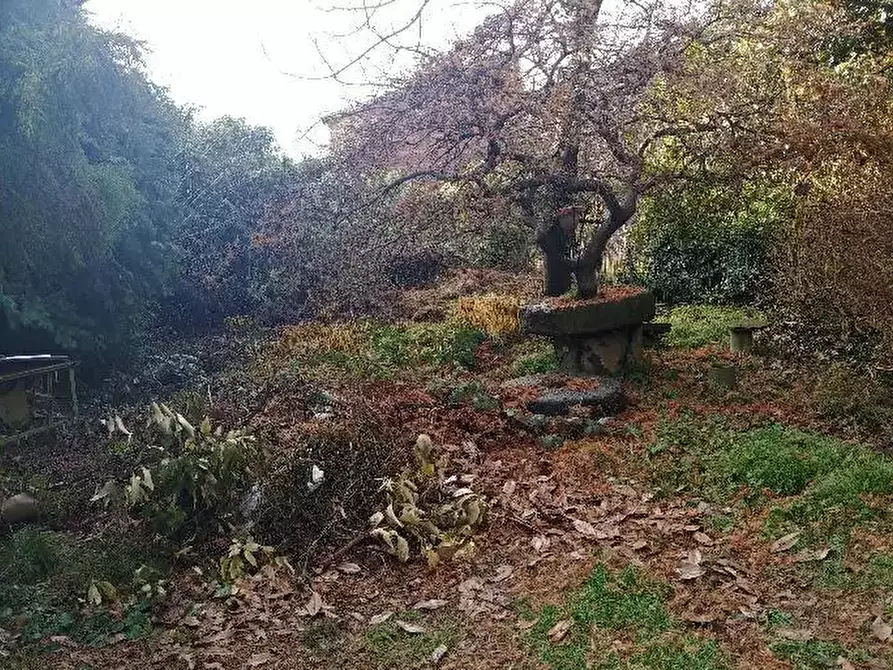 Immagine 8 di Castello in vendita  a Oglianico