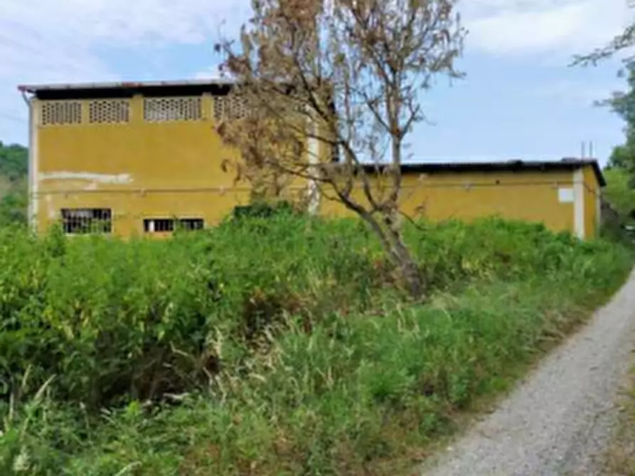 Immagine 6 di Palazzo in vendita  a Maglione