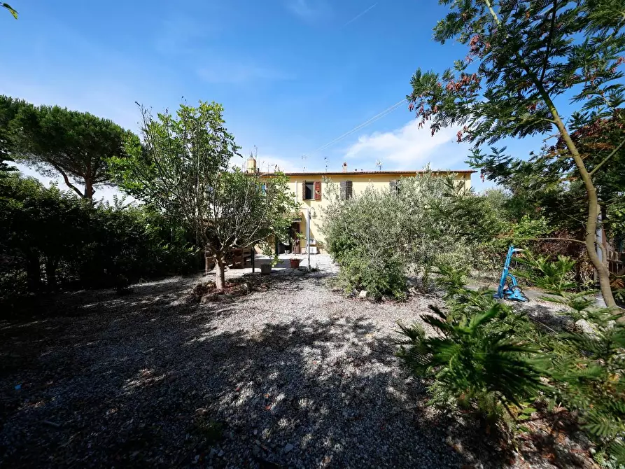 Immagine 4 di Terratetto in vendita  a Fauglia
