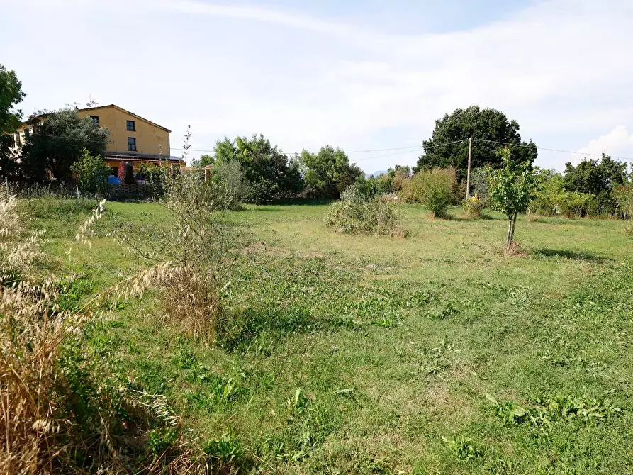 Immagine 50 di Terratetto in vendita  a Fauglia