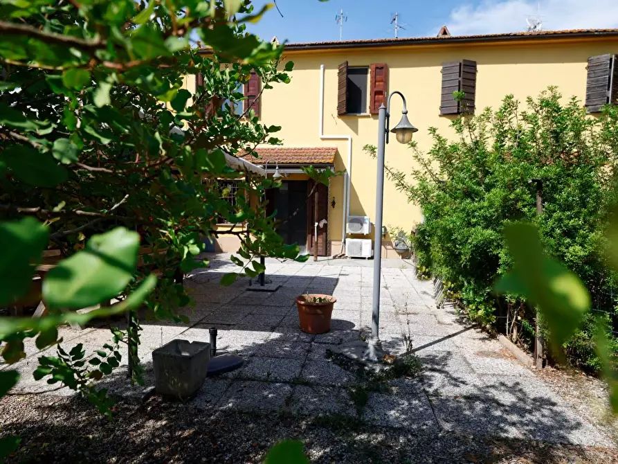 Immagine 3 di Terratetto in vendita  a Fauglia