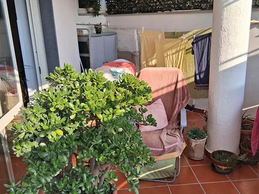 Immagine 3 di Casa bifamiliare in vendita  a Santa Marina