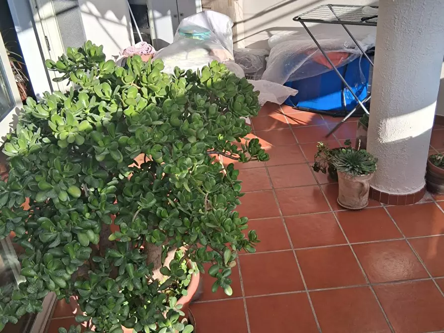 Immagine 38 di Casa bifamiliare in vendita  a Santa Marina