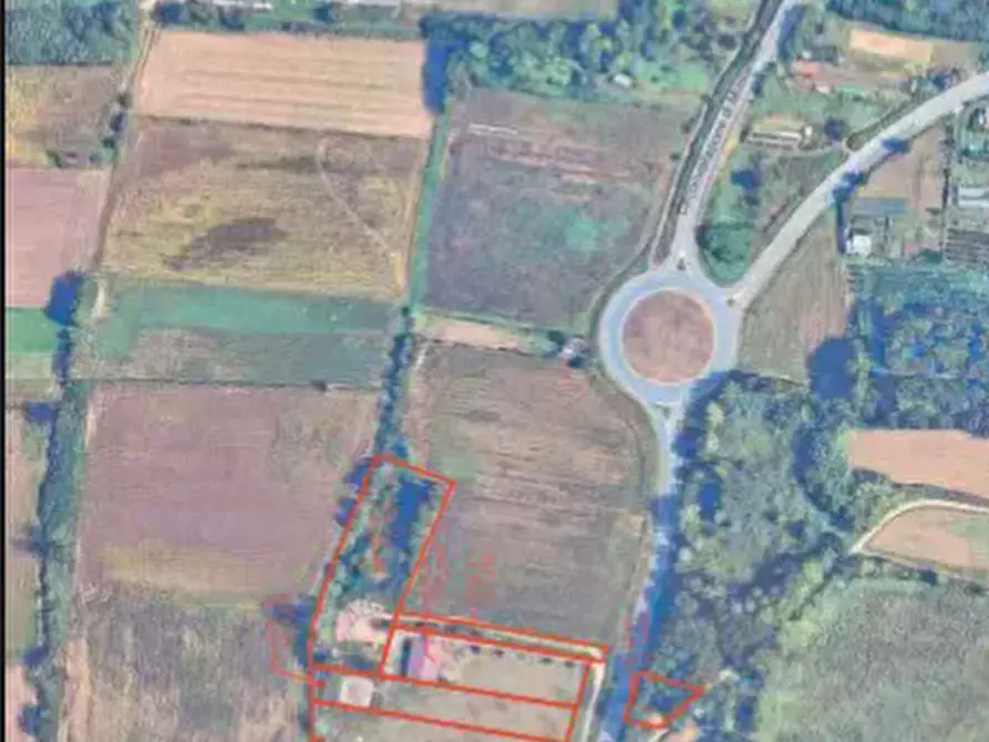 Immagine 1 di Terreno agricolo in vendita  a Montanaro