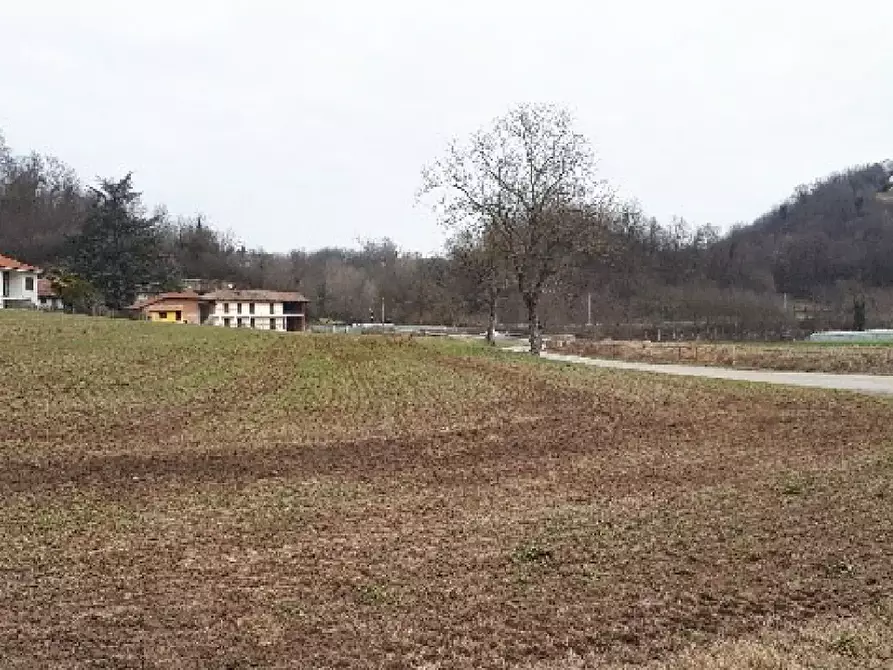 Immagine 5 di Terreno agricolo in vendita  a Brozolo