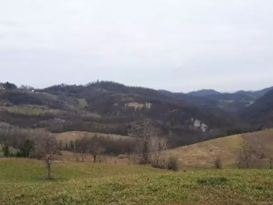 Immagine 3 di Terreno agricolo in vendita  a Brozolo