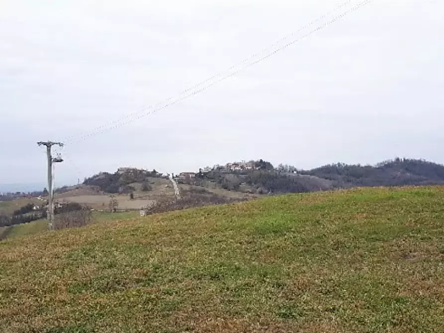 Immagine 4 di Terreno agricolo in vendita  a Brozolo