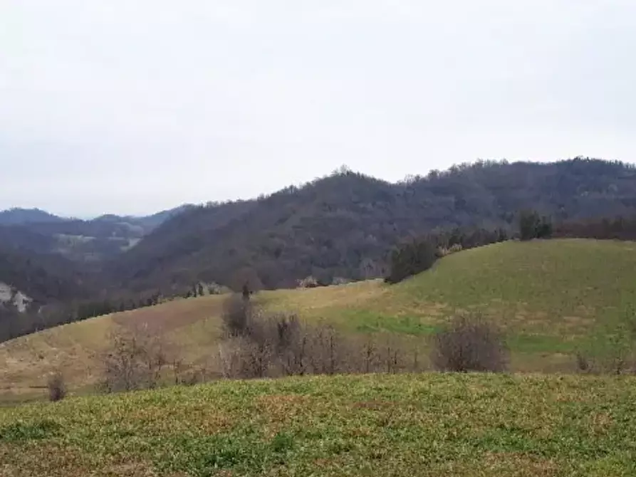 Immagine 1 di Terreno agricolo in vendita  a Brozolo