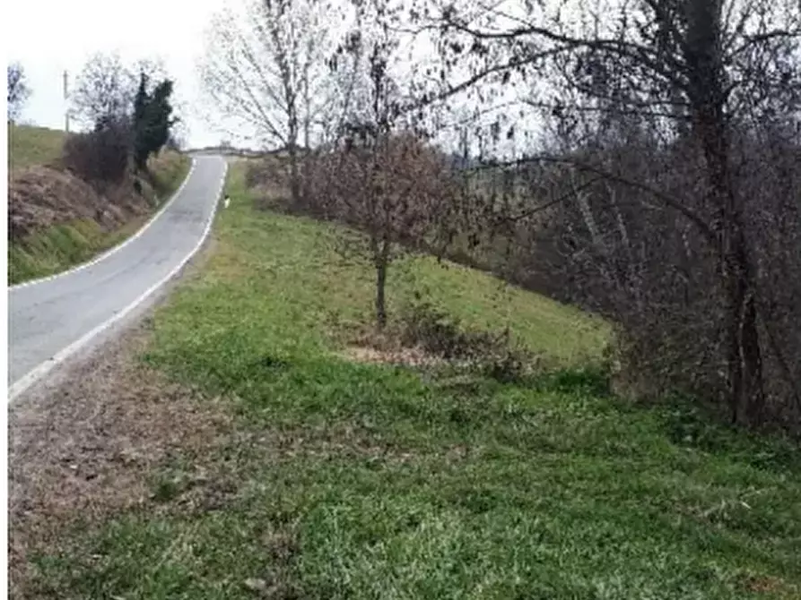 Immagine 2 di Terreno agricolo in vendita  a Brozolo