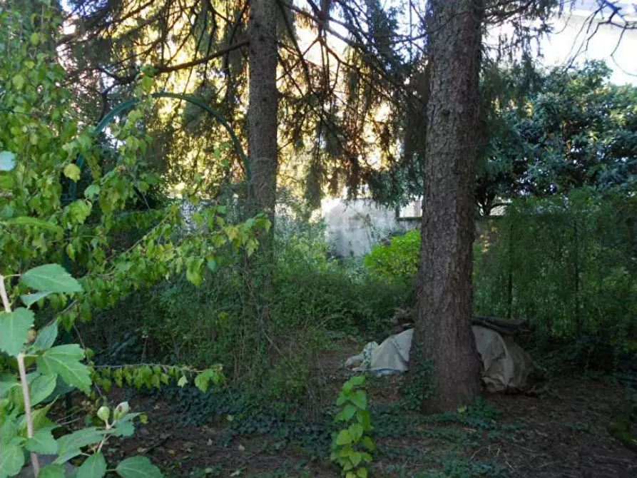 Immagine 5 di Villa in vendita  a Saronno