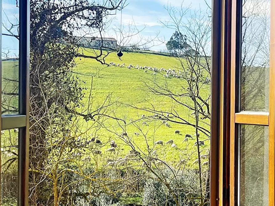 Immagine 12 di Rustico / casale in vendita  a Rosignano Marittimo