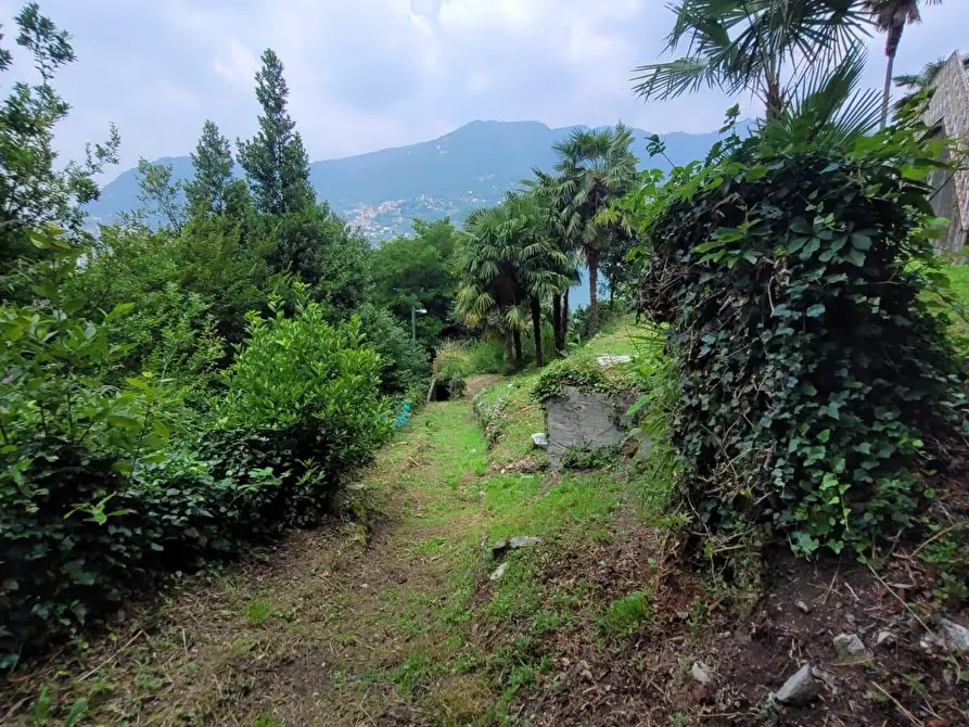 Immagine 28 di Villa in vendita  a Blevio