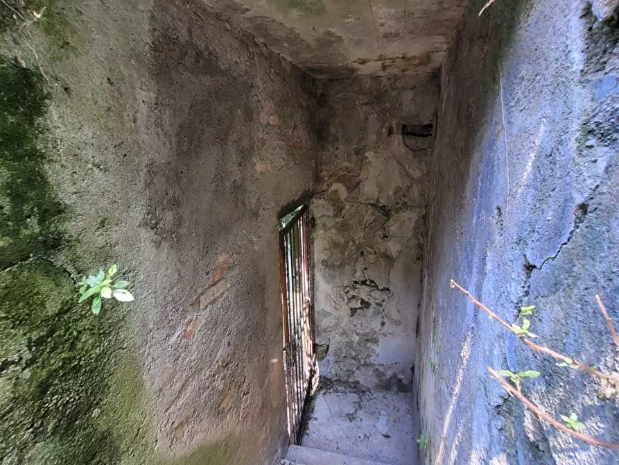 Immagine 66 di Villa in vendita  a Blevio