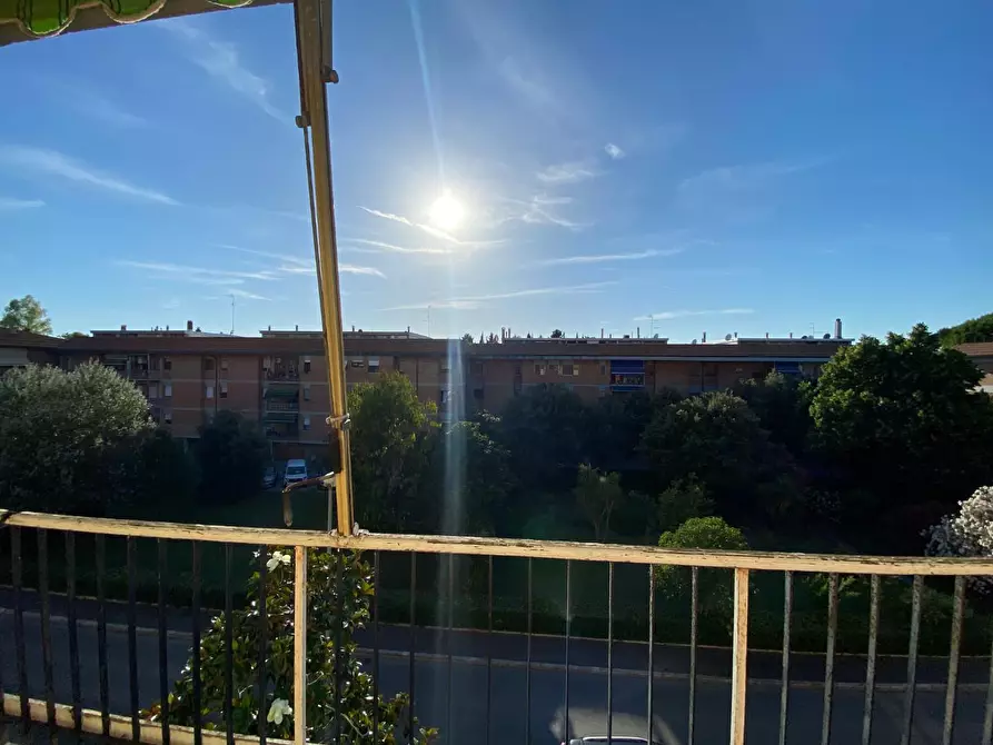 Immagine 14 di Appartamento in vendita  a Grosseto