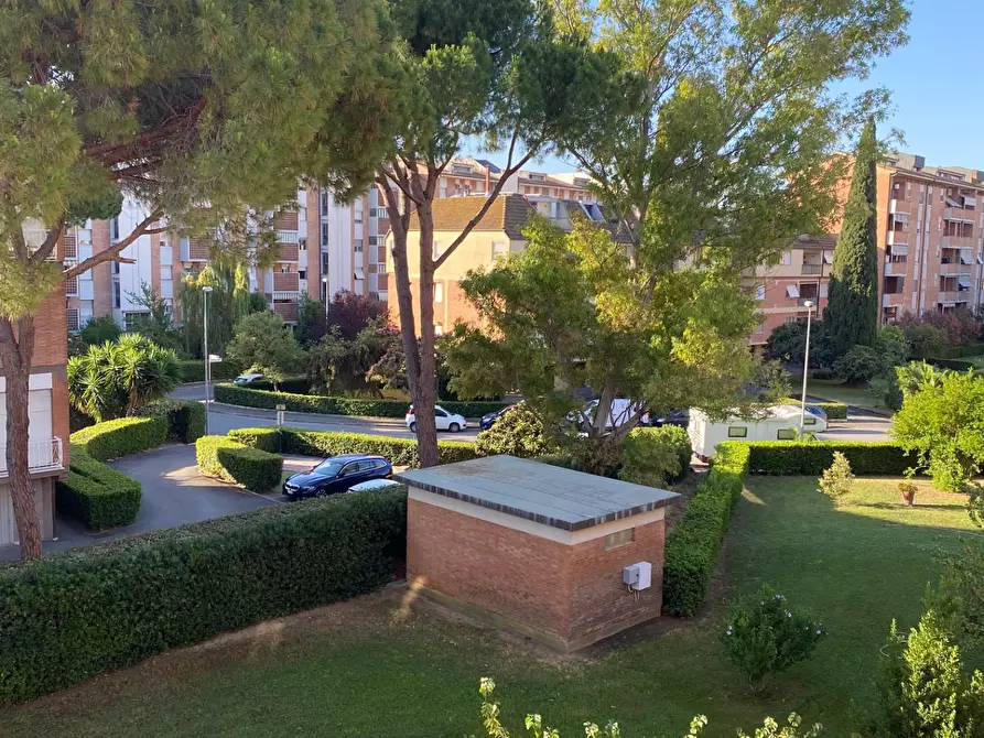 Immagine 43 di Appartamento in vendita  a Grosseto