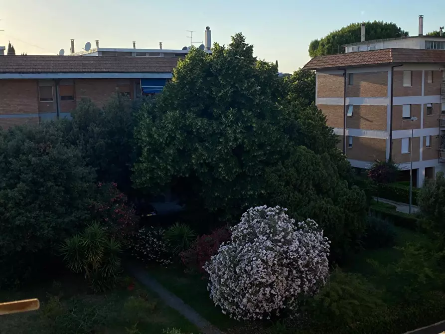 Immagine 39 di Appartamento in vendita  a Grosseto