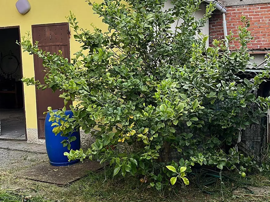 Immagine 8 di Appartamento in vendita  a Buggiano