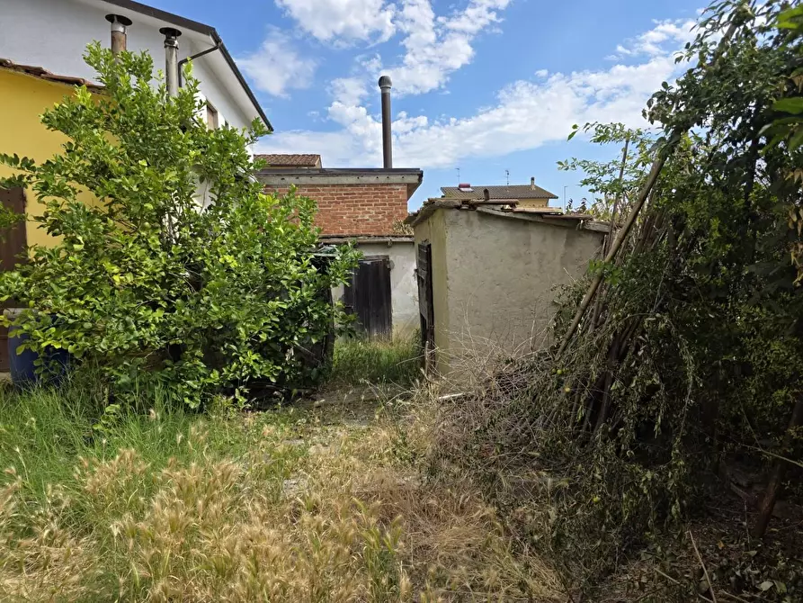 Immagine 34 di Appartamento in vendita  a Buggiano