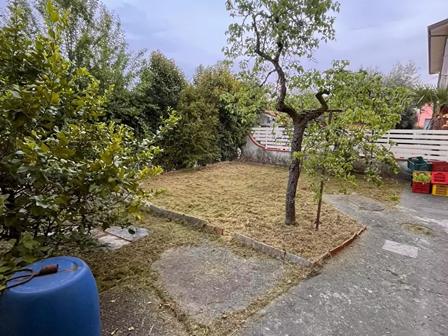 Immagine 4 di Appartamento in vendita  a Buggiano