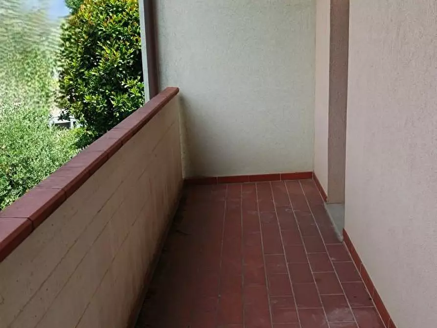 Immagine 15 di Terratetto in vendita  a Lamporecchio