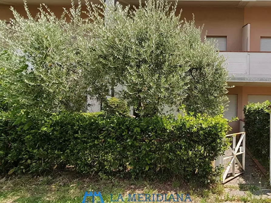 Immagine 23 di Terratetto in vendita  a Lamporecchio