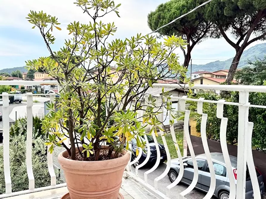 Immagine 13 di Casa semindipendente in vendita  a Massa