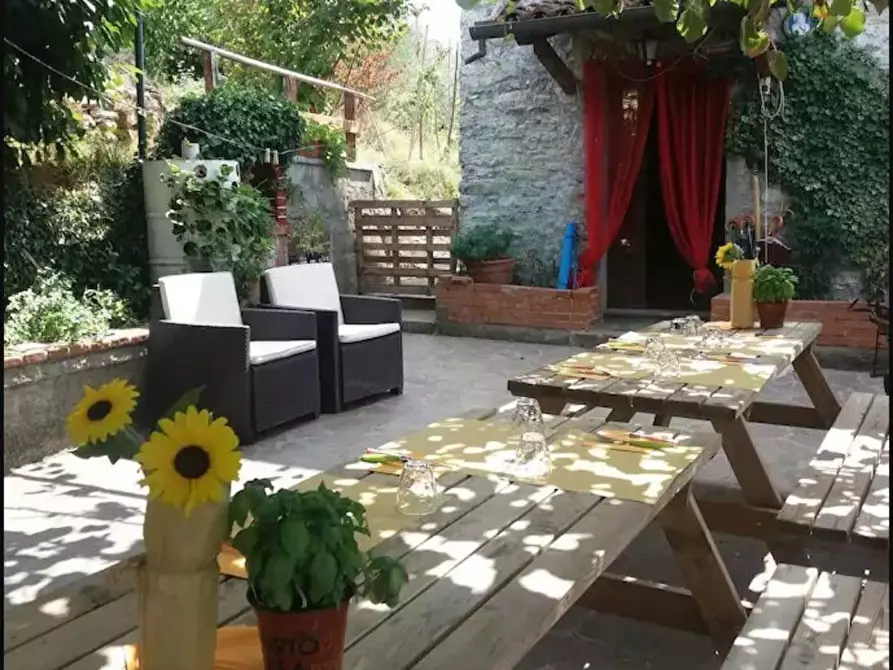 Immagine 5 di Casa colonica in vendita  a Barga