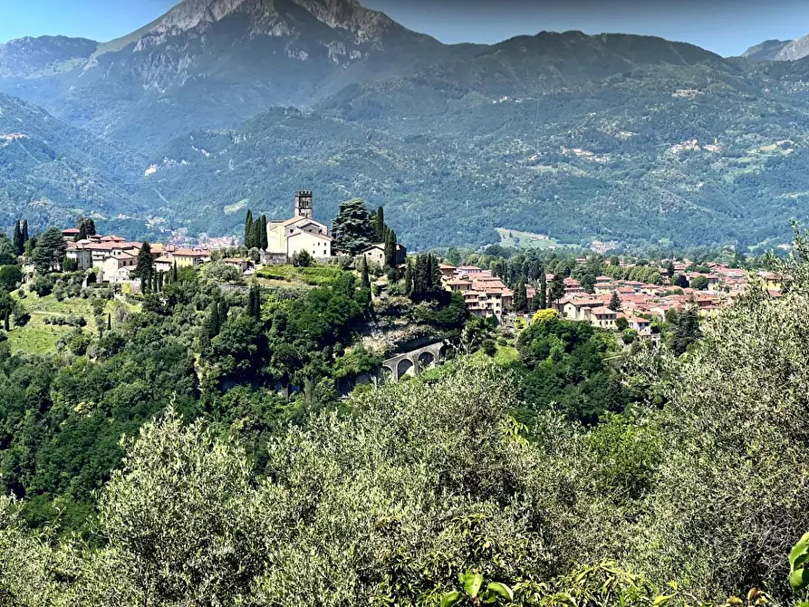 Immagine 26 di Casa colonica in vendita  a Barga