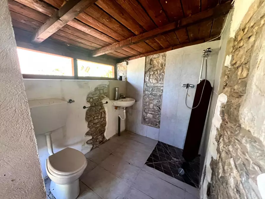Immagine 6 di Casa colonica in vendita  a Barga