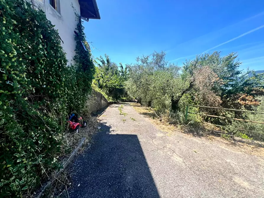 Immagine 3 di Casa colonica in vendita  a Barga