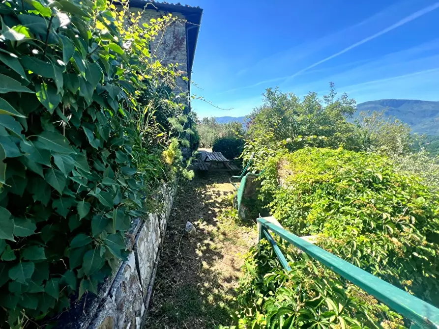 Immagine 27 di Casa colonica in vendita  a Barga