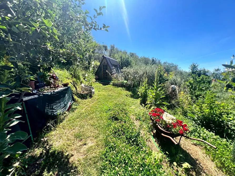 Immagine 28 di Casa colonica in vendita  a Barga