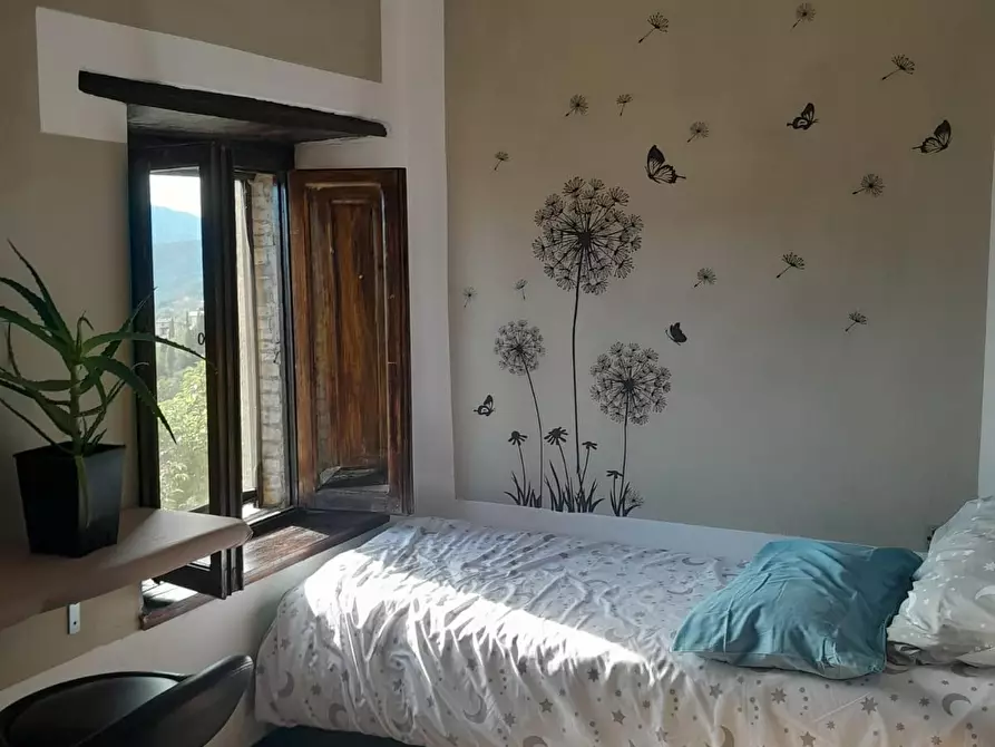 Immagine 9 di Casa colonica in vendita  a Barga