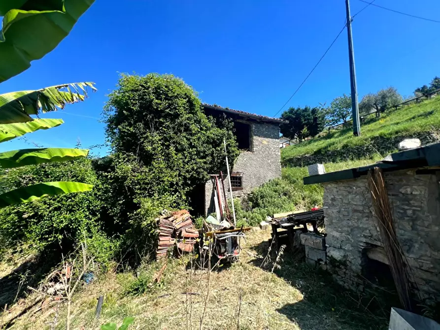 Immagine 24 di Casa colonica in vendita  a Barga