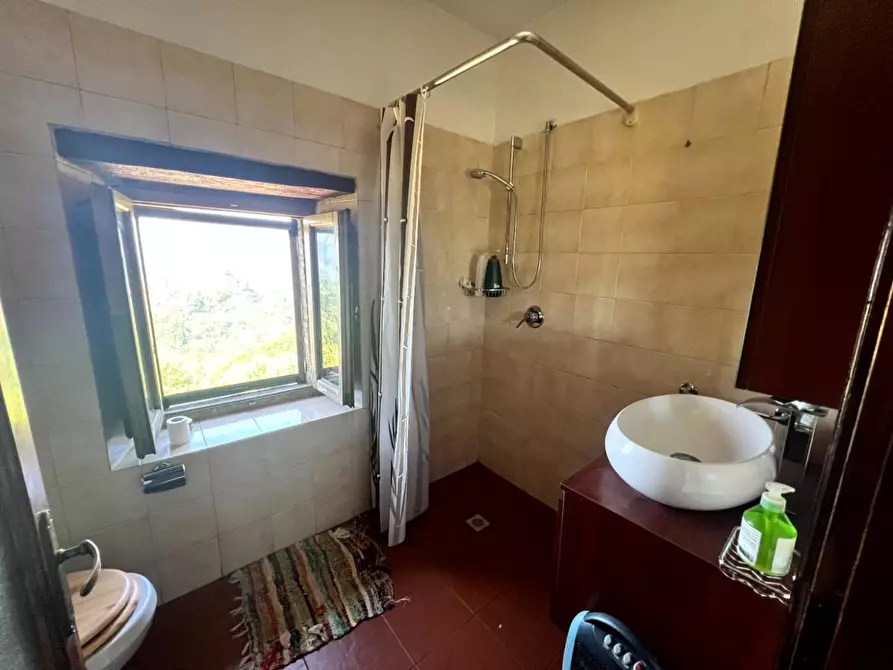 Immagine 20 di Casa colonica in vendita  a Barga